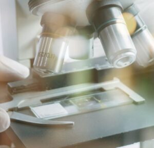 Προϊόντα Εργαστηρίου