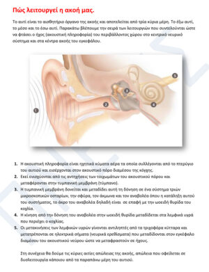 Πώς λειτουργεί η ακοή μας